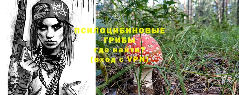 Псилоцибиновые грибы Psilocybine cubensis Арсеньев